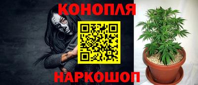 амф Дубна
