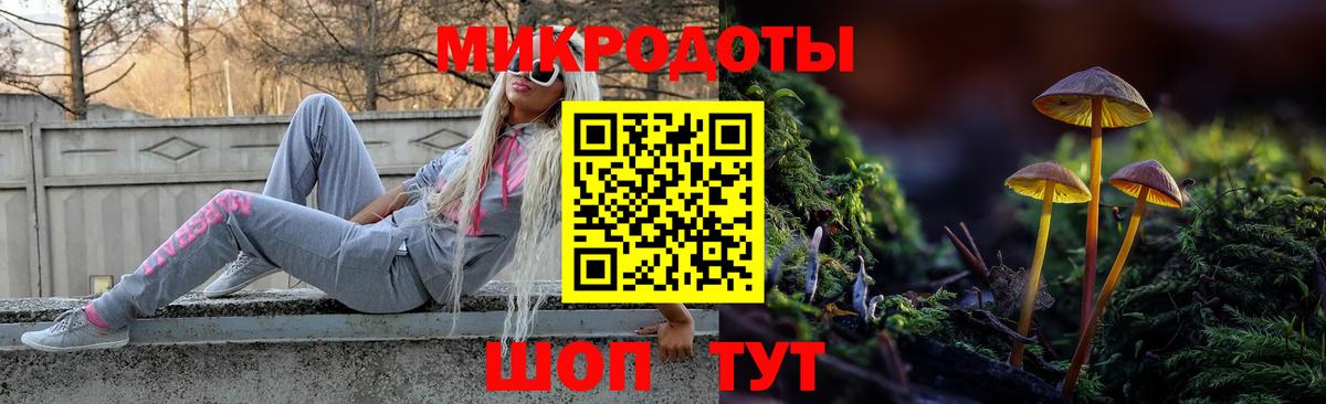 Галлюциногенные грибы Magic Shrooms Курчалой